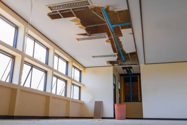 Best Mold removal after water damage  in Union City, GA