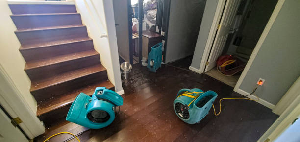Best Flood restoration services  in Union City, GA