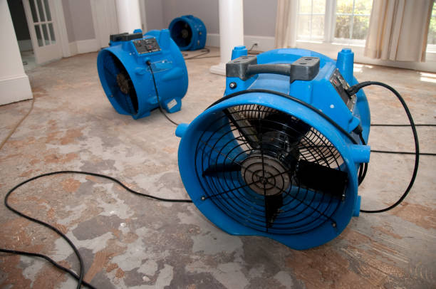 Best Water damage restoration near me  in Union City, GA