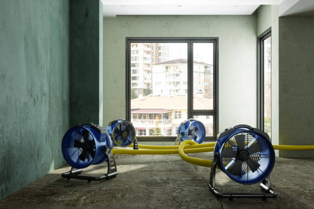 Best Water damage cleanup near me  in Union City, GA