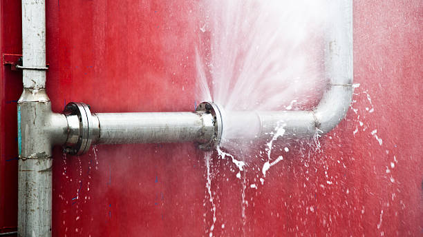 Best Mold removal after water damage  in Union City, GA